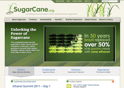 Sugarcane Screenshot