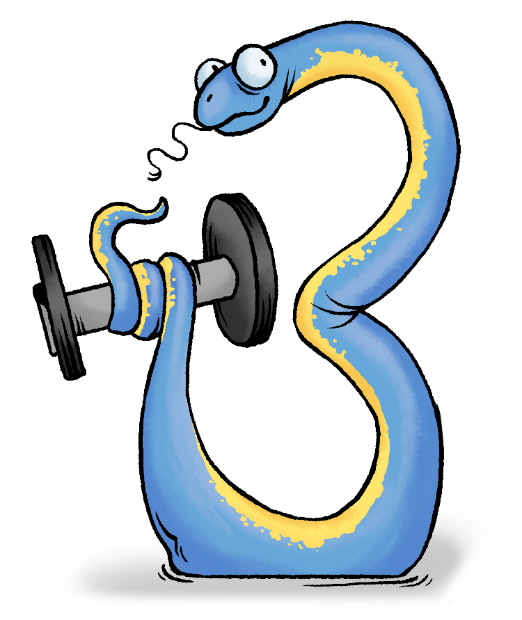 python 3 lifting weights